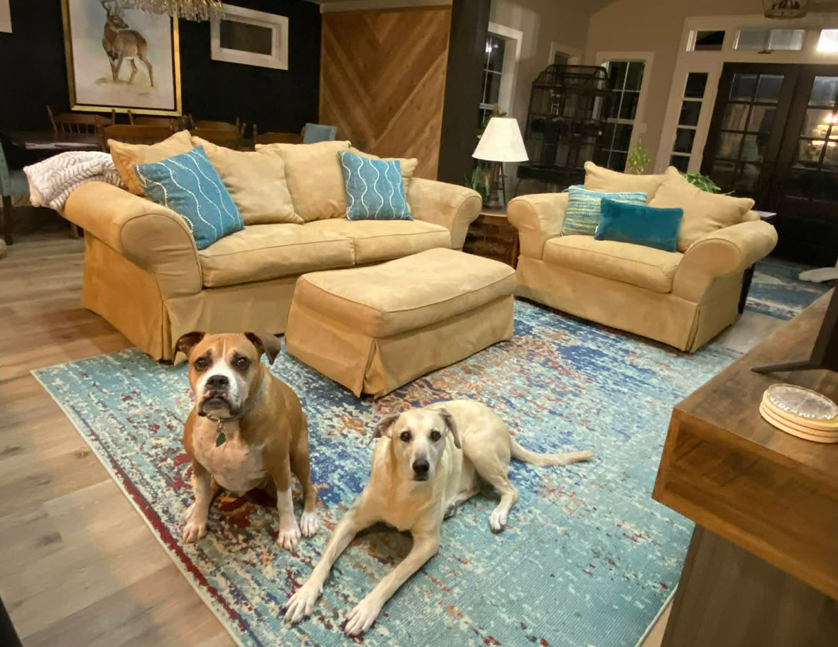 living-room-remodel